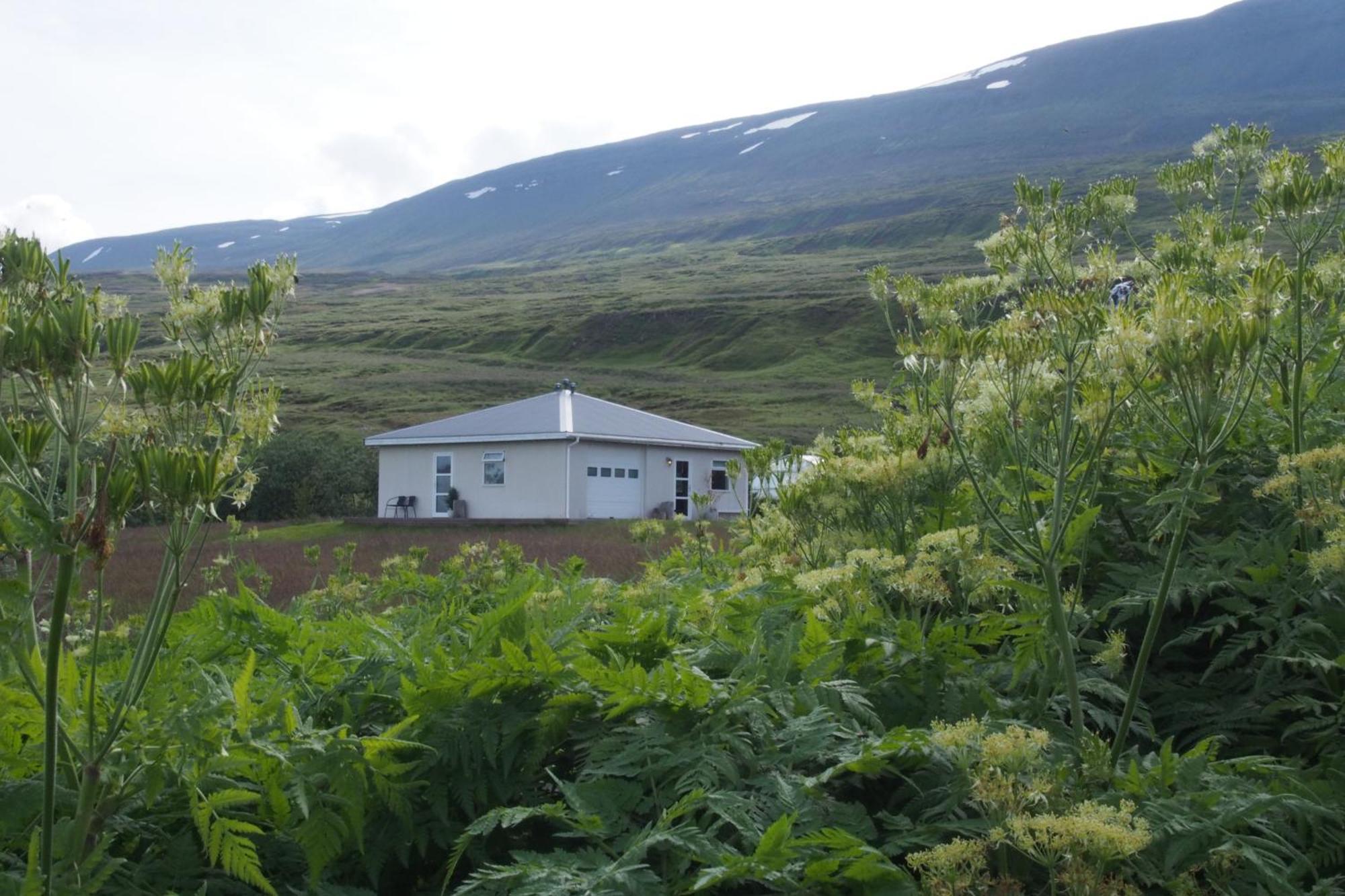 Granastathir Guesthouse Húsavík Exterior foto